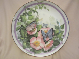 COMMON BLUE collector plate BUTTERFLY GARDEN Paul Sweany BEAUTIFUL - $19.99