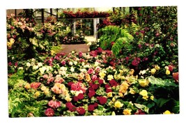 Vintage Postcard San Diego California Rosecroft Begonia Gardens Floral L... - £6.50 GBP