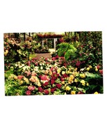 Vintage Postcard San Diego California Rosecroft Begonia Gardens Floral L... - $8.15