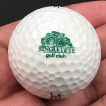 Singletree Golf Sonnenalp Club Edwards CO Colorado Souvenir Golf Ball Ti... - $9.49