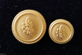 Blazer Jacket buttons acacia circular gold plated enamel Masonic Freemas... - £25.05 GBP