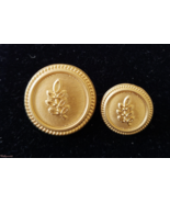 Blazer Jacket buttons acacia circular gold plated enamel Masonic Freemas... - $32.50