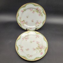 Lot of 2 Haviland Limoges Schleiger 66 Double Gold 8 5/8 Inch Luncheon Plates - £38.91 GBP