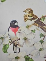 Rose Breasted Grosbeaks &amp; Dogwood Birds Lithograph James Gordon Irving Unframed - $12.99