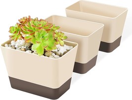 Succulent Pots With Tray, 3 Pack 6 X3.8 Inch Herb Window Boxes Office, P... - $32.99