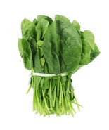 SM 400 Tendergreen Spinach Seeds Non-Gmo Mustard Seeds Easy to Grow - €12,34 EUR