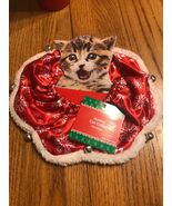 Holiday Cat Collar Christmas One Size Only Ships N 24h - €11,79 EUR