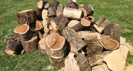 Large Truck Load of Boiler Firewood Campfire Splt For Heating Mixed Wood - $100.00