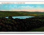 Canandaigua Lago Dito Lakes New York Ny Wb Cartolina U2 - $3.03