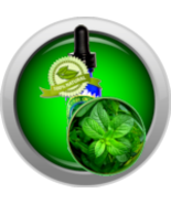 Peppermint Essential Oil (Mentha Piperata) - $94.11 MXN+