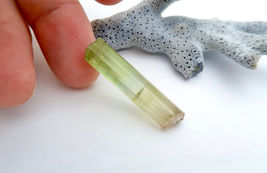 Item image 14