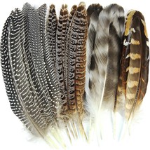 24Pcs Natural Pheasant Feathers 4 Style 6-8Inch 15-20Cm For Diy Craft Home Party - £24.20 GBP