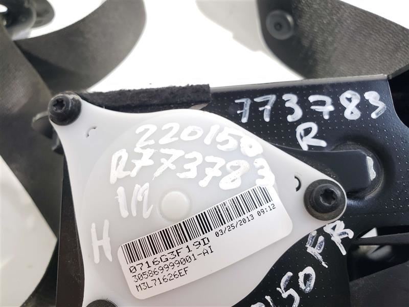 Front Left and Right Belts OEM 2008 2009 2010 2011 2012 2013 2014 BMW X6 Item image 8