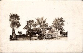 RPPC Family Posing With Horse and Carriage Pretty Palm Trees c1908 Postcard Z22 - £7.15 GBP