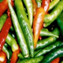 New Fresh Seeds 10 Anaheim Chili Pepper Seeds Fast Ship - $15.20