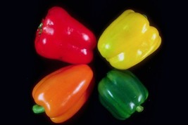 Fresh Seeds Sweetest Redyellowgreenorange Bell Pepper Seeds 20 Seeds Strawberry  - $18.56