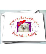 #13 BIRTHDAY NOTE CARDS / GREETING 6 w/ envelopes PUPPY WEARING A RED HAT - $12.19