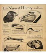 1935 Strange Tropical Bird Bills Beaks Popular Science Page Gus Mager E90F1 - $24.99