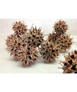 100 Sweet Gum Tree Balls Spiked Craft Decor with Monkey Balls for Holida... - £5.78 GBP