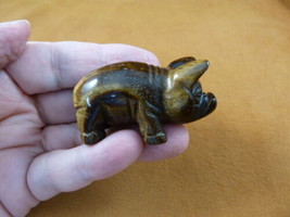 Y-PIG-ST-718) brown tigerseye PIG Piggy gemstone FIGURINE carving piglet... - £14.01 GBP