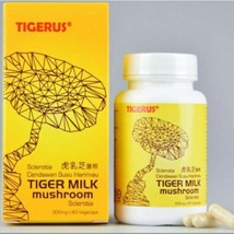 TIGERUS Tiger Milk Mushroom Sclerotia 60’s ORIGINAL &amp; HALAL Sinus Asthma... - £60.97 GBP