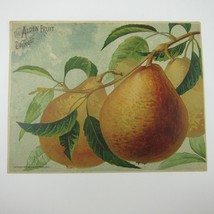 Victorian Trade Card LARGE Alden Fruit Vinegar Pears AL Higley NY Antiqu... - $29.99