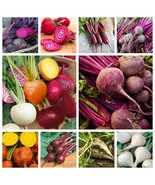 Beet Seeds Collection Non GMO 10 Varieties To Choose From Fast Grow - $15.00 CAD