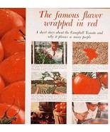 1962 Campbell&#39;s Classic Tomato Soup Advertisement Famous Flavor In Red HM2O - €25,76 EUR