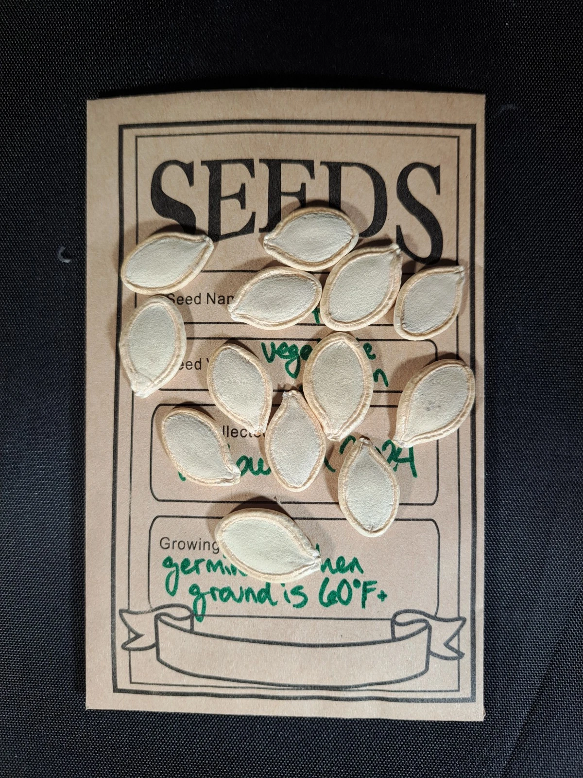 Perfect for Borders Pumpkin  Jack O Lantern  1015 Seeds - $4.50