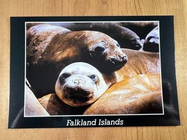 Vintage Postcard, Female Southern Sea Lions, Falkland Islands / Islas Malvinas - £3.79 GBP