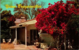 Postcard Yuma Arizona Bougainvillea at Yuma Art Center 248 S Madison M12 - £7.78 GBP