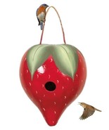 STRAWBERRY BIRDHOUSE - Amish Hand Painted Gourd Bird House USA - $73.49 CAD