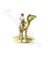 Camel &amp; Rider Art Decal Sticker Car Truck RV Laptop Tumbler Cup Golf Cart - £5.50 GBP+