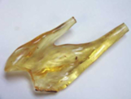 Copal Amber with Insects, Amber with Mosquito, Colombian Copal Amber Spe... - £65.70 GBP