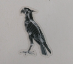 Parrot X-Ray Transparent Sticker 2.25&quot; x 1.75&quot; (K) - $1.64