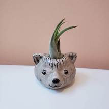 Handpainted Bear Pot with Air Plant, live plant, ceramic animal Airplant holder