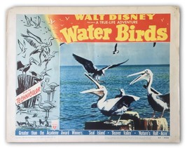 &quot;Water Birds&quot; Original 11x14 Authentic Lobby Card Photo Poster 1952 Walt Disney - £27.06 GBP