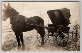 RPPC Pretty Horse with Dark Carriage Odd Smokey Shadow Inside Postcard B26 - $16.95