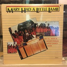 [SOUL/GOSPEL]~SEALED LP~Rev. R.L. WHITE, JR.~Mary Had A Little Lamb~[198... - £14.99 GBP