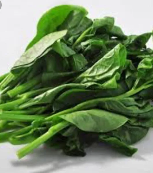 Usa 600+ Green Stem Malabar Vietnamese Spinach Seeds MồNg Tơi 木 Usa Garden - $13.90