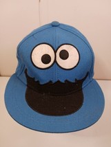Sesame Street Cookie Monster Size S/M Small Medium Cap Hat Writing On In... - $9.89