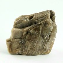 Petrified Wood South Dakota 1 lb 1.6 oz 3.5” x 4" x ~1" Wooden Rock Stone Fossil image 4