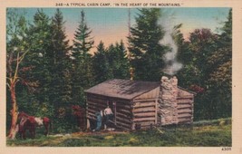 Typical Cabin Camp In The Heart of the Mountains Postcard E04 - $3.99