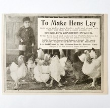 Sheridans Chicken Condition Powder 1897 Advertisement Victorian Eggs ADB... - $19.99