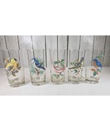 Set (5) VTG  West .Virginia Glass Co. American Song Birds Gold Rimmed Tu... - $942.26 MXN