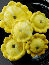 SGHOST Yellow Bush Scallops 20 100Seeds Summer Squash Golden Custard Patty Pan U - £6.31 GBP