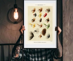 Soft-tied Hackles Fly Fishing Flies Art Poster Print 16 x 20 in - £20.05 GBP