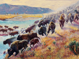 Framed canvas art print giclee Lamar Valley, Yellowstone buffalo wild western - £30.92 GBP+