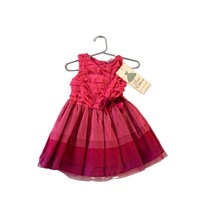 New Sweet Heart Rose Girls Toddler 2T Pink Ombre Dress Tiered Top Tulle Bottom B - £14.12 GBP