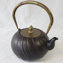 Japanese Tetsubin Cast Iron Round Swirl Teapot Tiliang Brass Lid 40 oz T... - €153,17 EUR